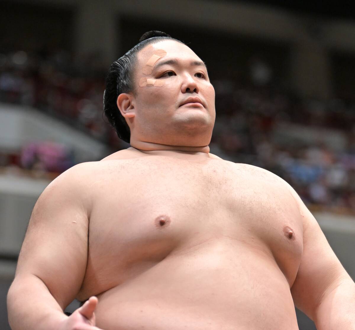 朝乃山の土俵での写真