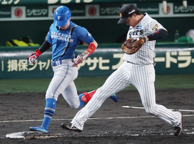 甲子園球場外観